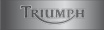 pieces composites pour TRIUMPH